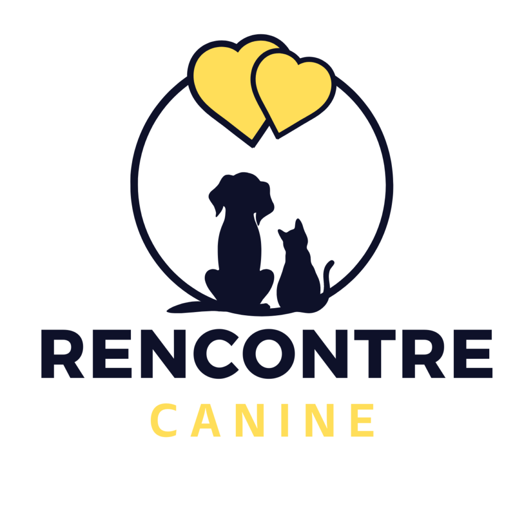 rencontre chien